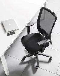 CODY - Consegna in 48 ore