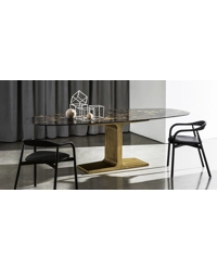 Palace 220x115 Ellittico