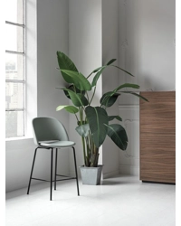 Polo Upholstered Stool