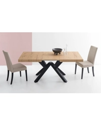 Mikado  CB4789 R 160