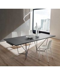 Denis 170x100 (210-250)