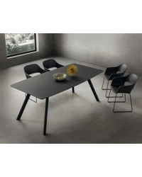 Nicola 170x100 (210-250)