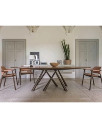 Forest 280x120 Ovale