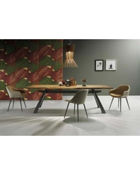 Zeus 200x106 - Gamba Metallo