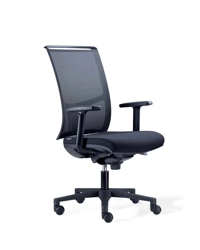 Zed - Consegna in 48 ore