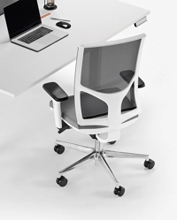 Zed Operativa - Struttura Bianca