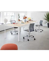 Zed Visitatore Girevole