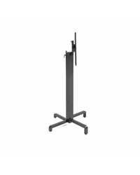 Base Ibisco Ribalta High