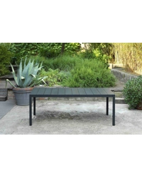 RIO ALU 210 Extensible