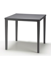 Thyme 70x70