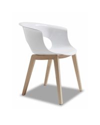 Natural Miss B Antishock