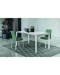 Evolution 160x90 Fisso