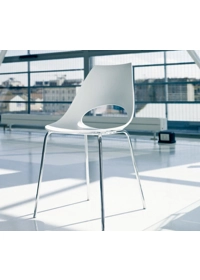 Shark Kitchen chairs Bontempi