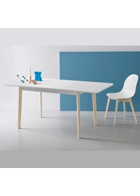 DINE 110x70 (150) Tavoli da cucina Connubia