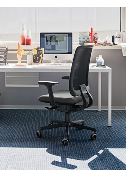 Tam on the Net Ergonomic office chairs Milani