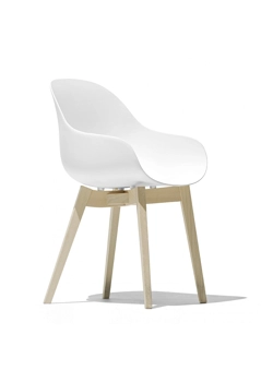 Academy CB2142 Sedie in plastica di design Connubia