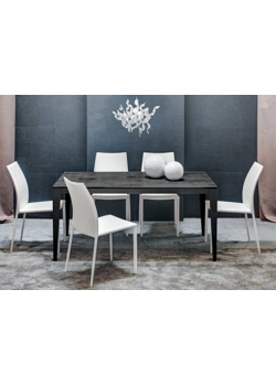 Dom 160x90 (200-240)  Ingenia