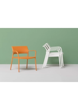Ara 316 - Design Jorge Pensi Design Studio 2011 Sedie in plastica di design Pedrali