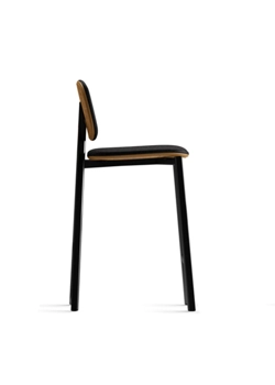 Tata Stool (upholstered with wooden backrest and underseat)  point