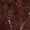 variante