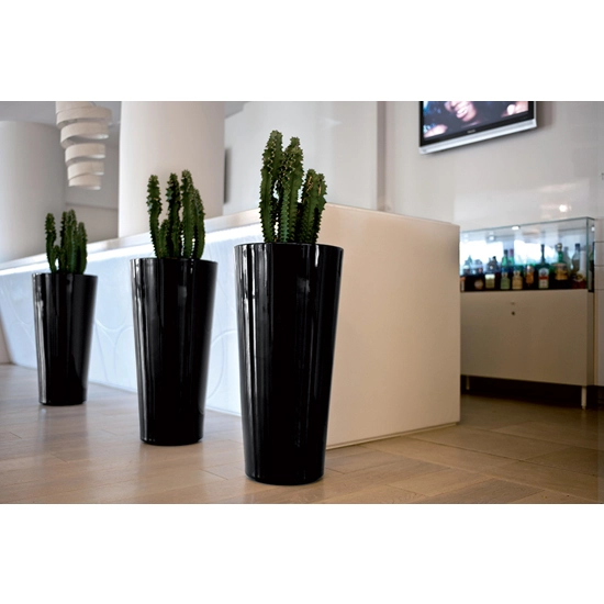 Hilo small Vases 21st 4