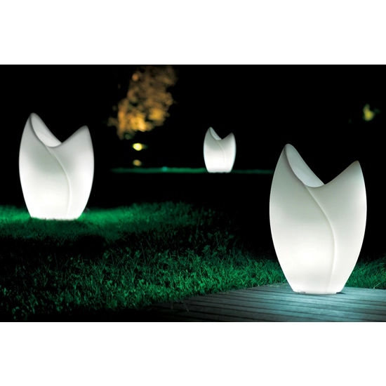 Tao medio Vasi 21st 3