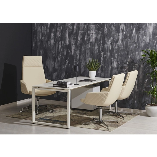 Minnesota Visitatore Sedie home office Ap Factor 1