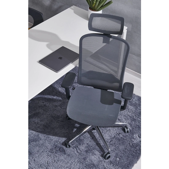 Arizona Rete Ergonomic office chairs Ap Factor 1