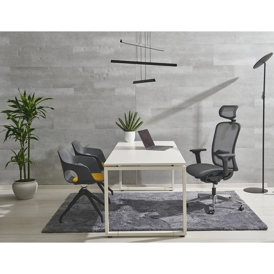 Arizona Rete Ergonomic office chairs Ap Factor 2