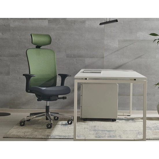 Arizona Ergonomic office chairs Ap Factor 1