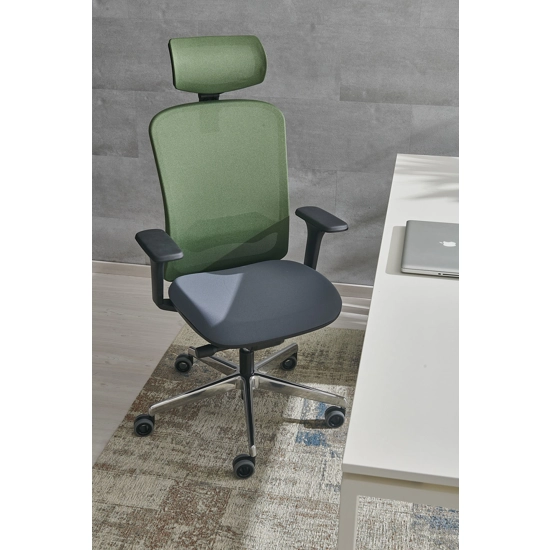 Arizona Ergonomic office chairs Ap Factor 2