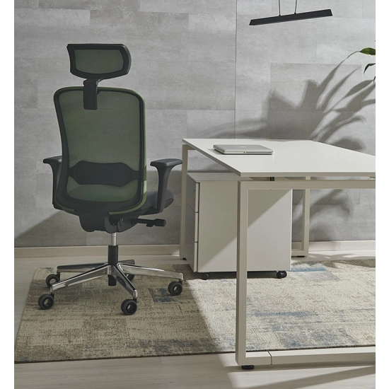 Arizona Ergonomic office chairs Ap Factor 3