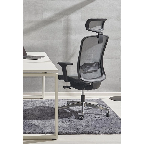 Arizona Rete Ergonomic office chairs Ap Factor 4