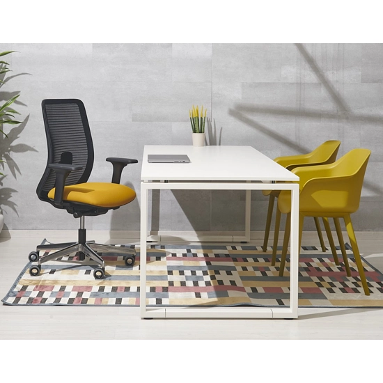 Aspen Ergonomic office chairs Ap Factor 1