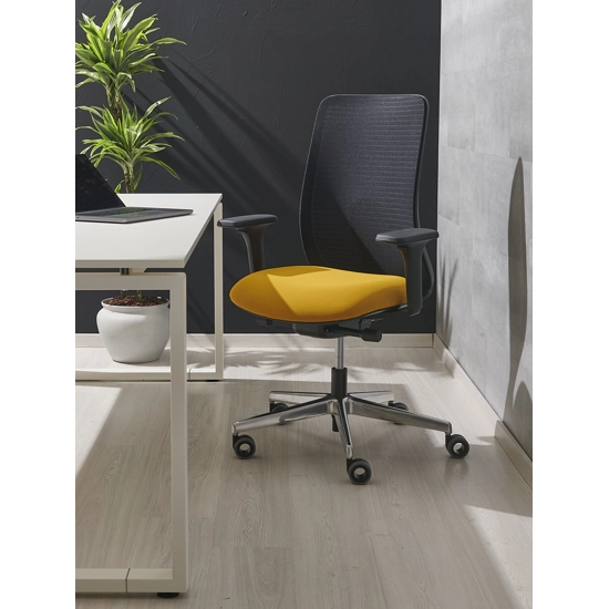 Aspen Ergonomic office chairs Ap Factor 2