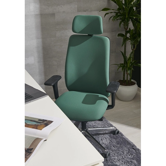 Aspen Imbottita Ergonomic office chairs Ap Factor 3