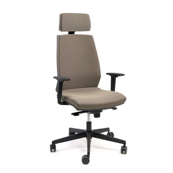 Carolina Sedie ergonomiche ufficio Ap Factor 3