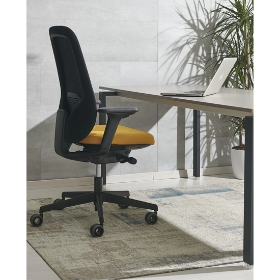 Cayman Ergonomic office chairs Ap Factor 1