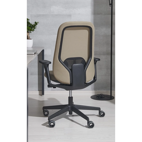 Cayman Ergonomic office chairs Ap Factor 2