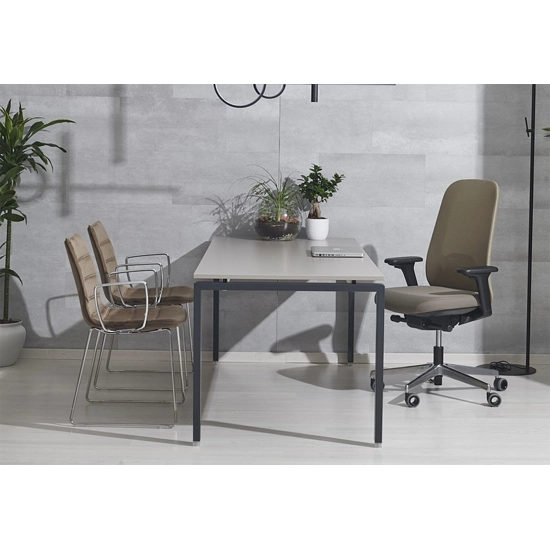 Cayman Ergonomic office chairs Ap Factor 3