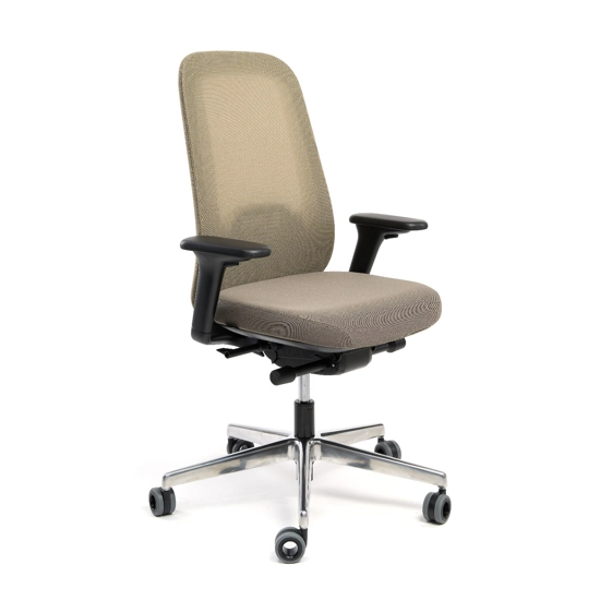 Cayman Ergonomic office chairs Ap Factor 4