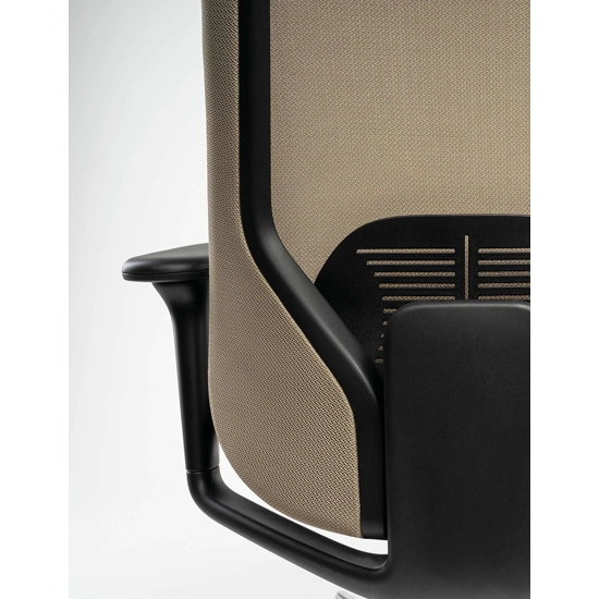 Cayman Ergonomic office chairs Ap Factor 6