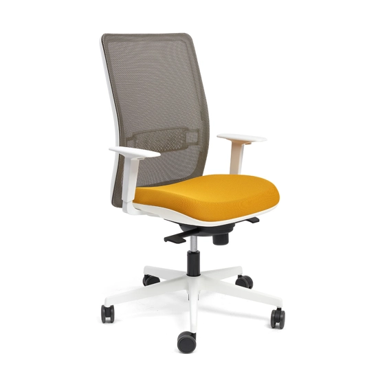 Haiti Ergonomic office chairs Ap Factor 5