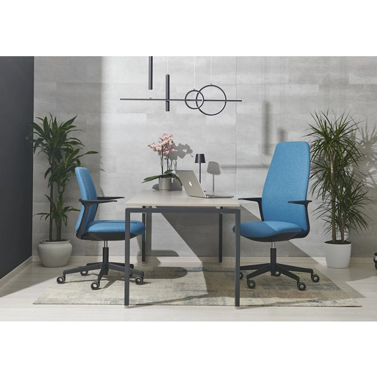 Queens Bassa Sedie ergonomiche ufficio Ap Factor 6