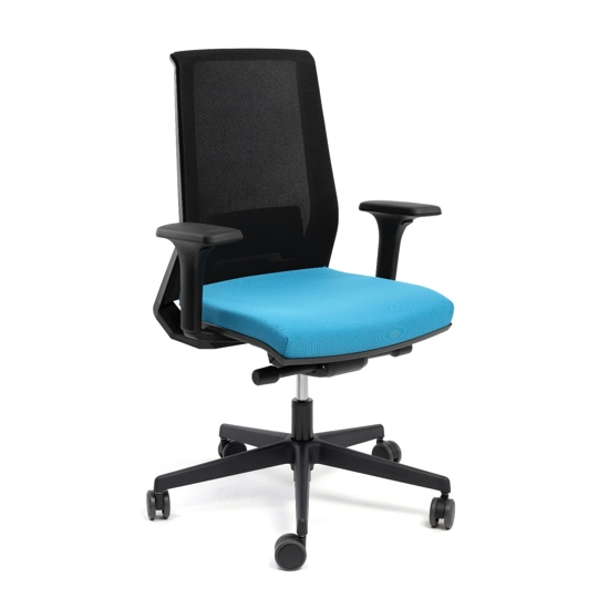 Seattle Ergonomic office chairs Ap Factor 1