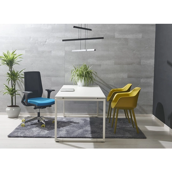 Seattle Ergonomic office chairs Ap Factor 2