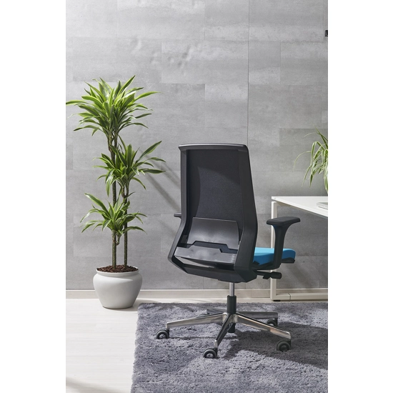 Seattle Ergonomic office chairs Ap Factor 7