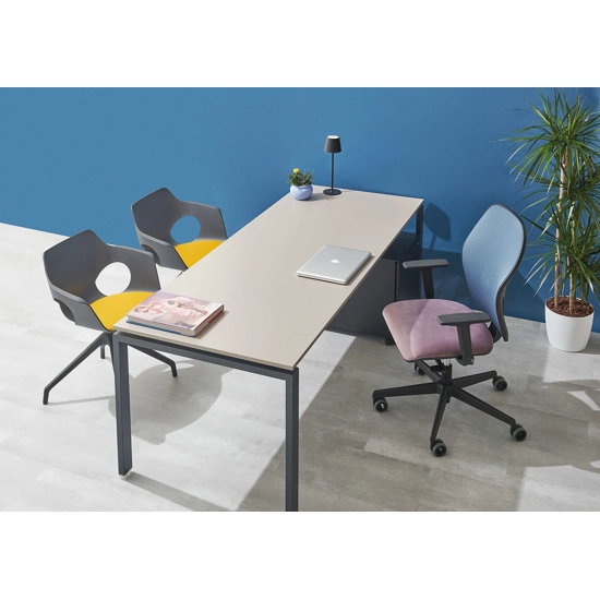 Texas 01 Ergonomic office chairs Ap Factor 1