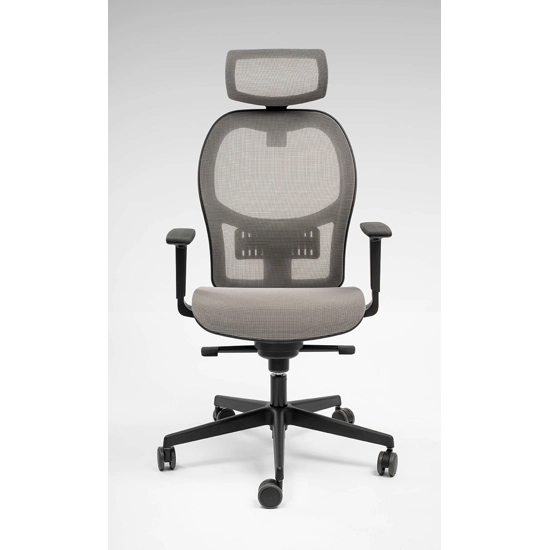 Texas Rete Ergonomic office chairs Ap Factor 1