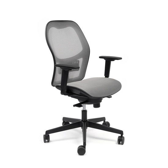 Texas Rete Ergonomic office chairs Ap Factor 2